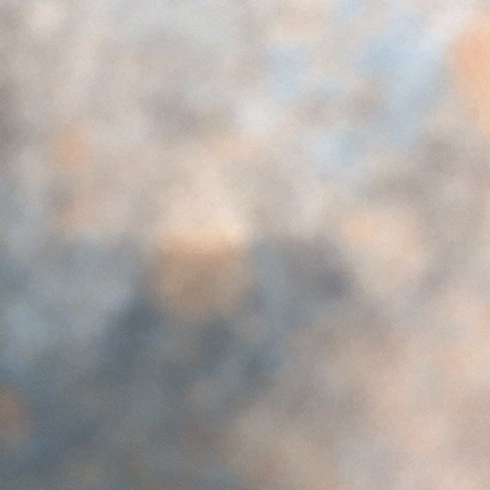 Meet your Posher, Misty